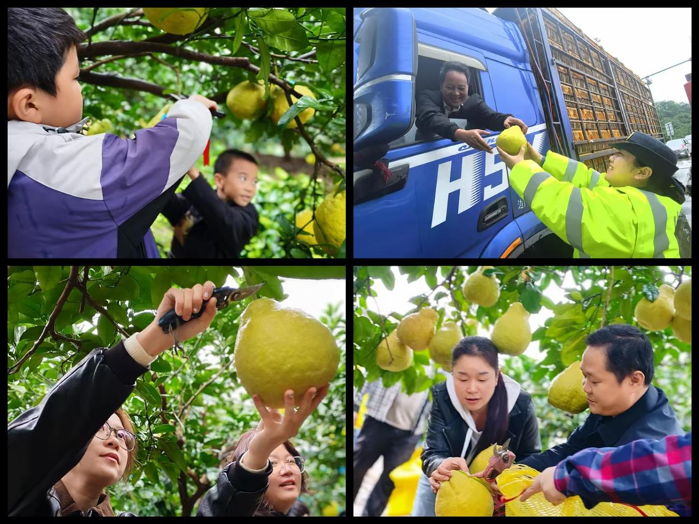 图片13.png